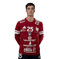 Hand No Sticker by GRAND BESANÇON DOUBS HANDBALL