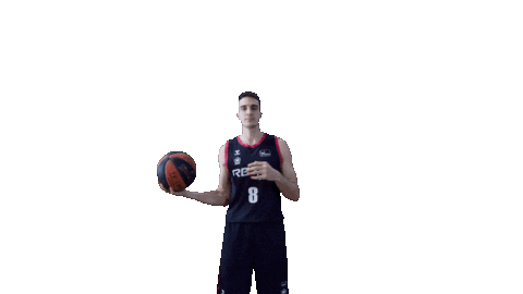Liga Endesa Basketball Sticker by ACB