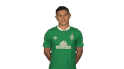Come On Wtf Sticker by Bundesliga