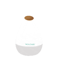 VintariOficial orange natural meditation balance Sticker