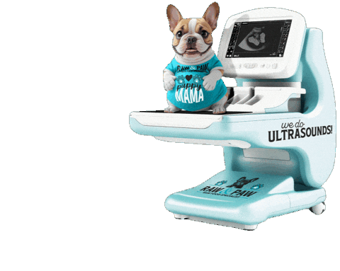 Ultrasound Breeder Sticker by Raw And Paw Co