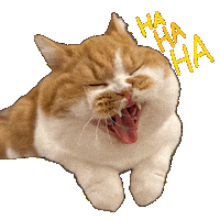 Cat Kitty Sticker