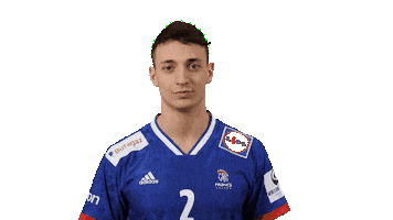 France Hand Sticker by EHF