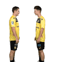 Sport Handball Sticker by HSC 2000 Coburg