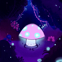 polalucas mushroom polalucas GIF