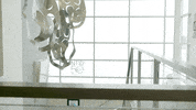 rit ntid GIF by Rochester Institute of Technology
