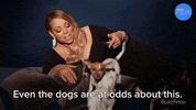 Mariah Carey Puppies GIF by BuzzFeed