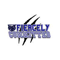 DallastownAreaSchoolDistrict dasd wildcat dtown wildcatnation Sticker