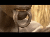 lip plate GIF