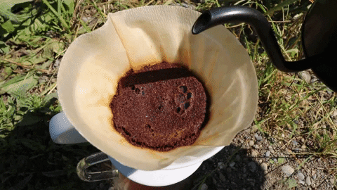 Extrapunkt giphygifmaker ampatocoffee pourovercoffee pouroverbrewing GIF