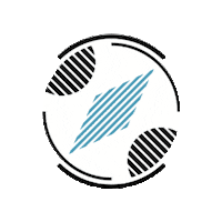 Ball Handball Sticker by Bayerischer Handball-Verband