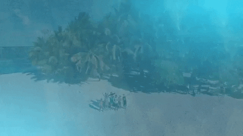 soaverecords giphygifmaker soave better than this david mackay GIF