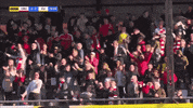 Celebrate Red Army GIF by Cliftonville Football Club