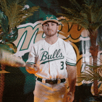 South Florida Baseball GIF by USF Athletics