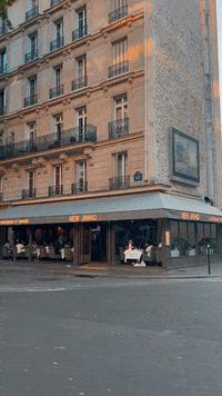 Driving France GIF