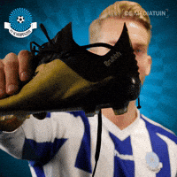 Voetbalvereniging_Scherpenzeel voetbal bal blauwwit hoofdklasse GIF