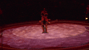 Dance Argentina GIF by Ringling Bros. and Barnum & Bailey