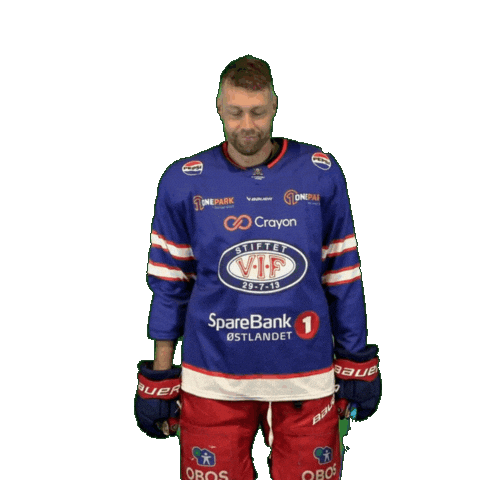 6 Sticker by VIF Hockey