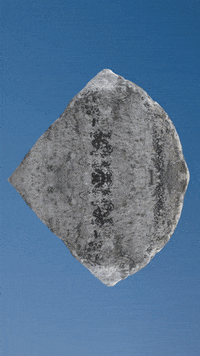 stoned loop GIF by Jaygo Bloom