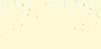 ANALORENABRIDAL Momentos GIF