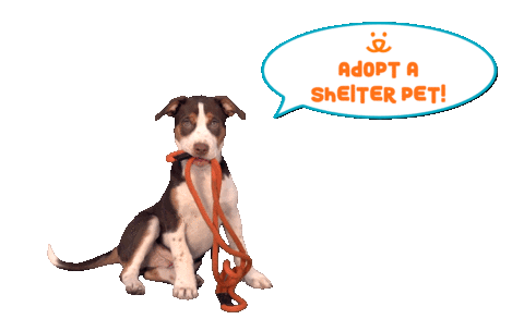 Adopt Best Friends Sticker by Best Friends Animal Society