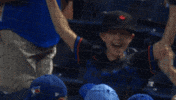 Blue Jays Baseball GIF by Toronto Blue Jays