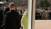 GIF by vrt