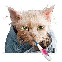 Sad Chill Out Sticker by Chris Timmons