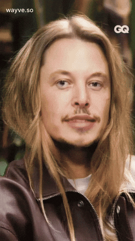 Trending Vibe GIF by Darwin