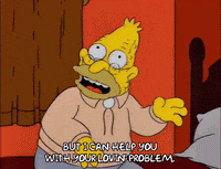 homer simpson episode 10 GIF