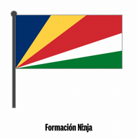Flag Bandera GIF by Formación Ninja