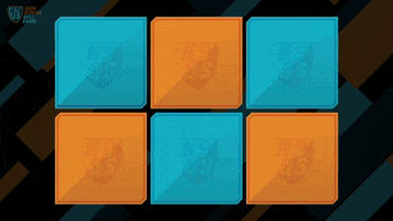 GIF by WGBH's High School Quiz Show