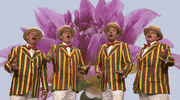 Flower Quartet GIF by The Tonight Show Starring Jimmy Fallon