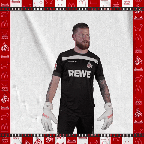 1 Fc Cologne Football GIF by 1. FC Köln