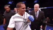 ufc 206 GIF