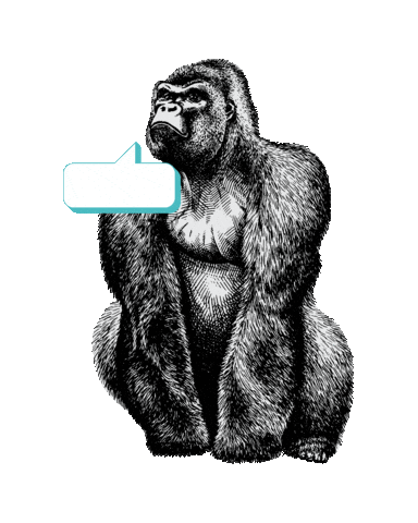 JeugdwerkGent giphyupload gorilla jeugdwerkgent vreewijs Sticker