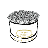 Valentines Day Flower Sticker by Venus ET Fleur