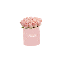 Pink Rose Sticker by Petalier
