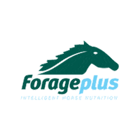 Equestrian Sticker by Forageplus