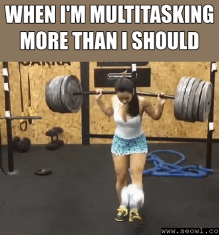 seowl_app seo seowl GIF