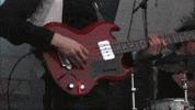theredwalls lollapalooza rock band bass player redwalls GIF