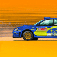 Car Racing GIF by kneapolitan