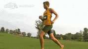 north dakota state bison GIF by NDSU Athletics