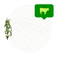 Axion Sticker by AgroActiva