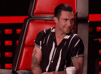 adam levine television GIF by The Voice