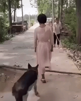 cuteanimalland giphyupload GIF