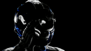 dale earnhardt jr. GIF by NASCAR