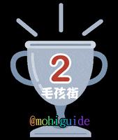 mohiguide mohi mohiguide GIF