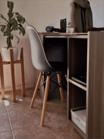 GIF animado