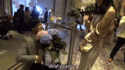 sunbeary GIF